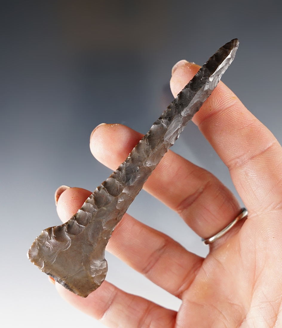 Main artifact image