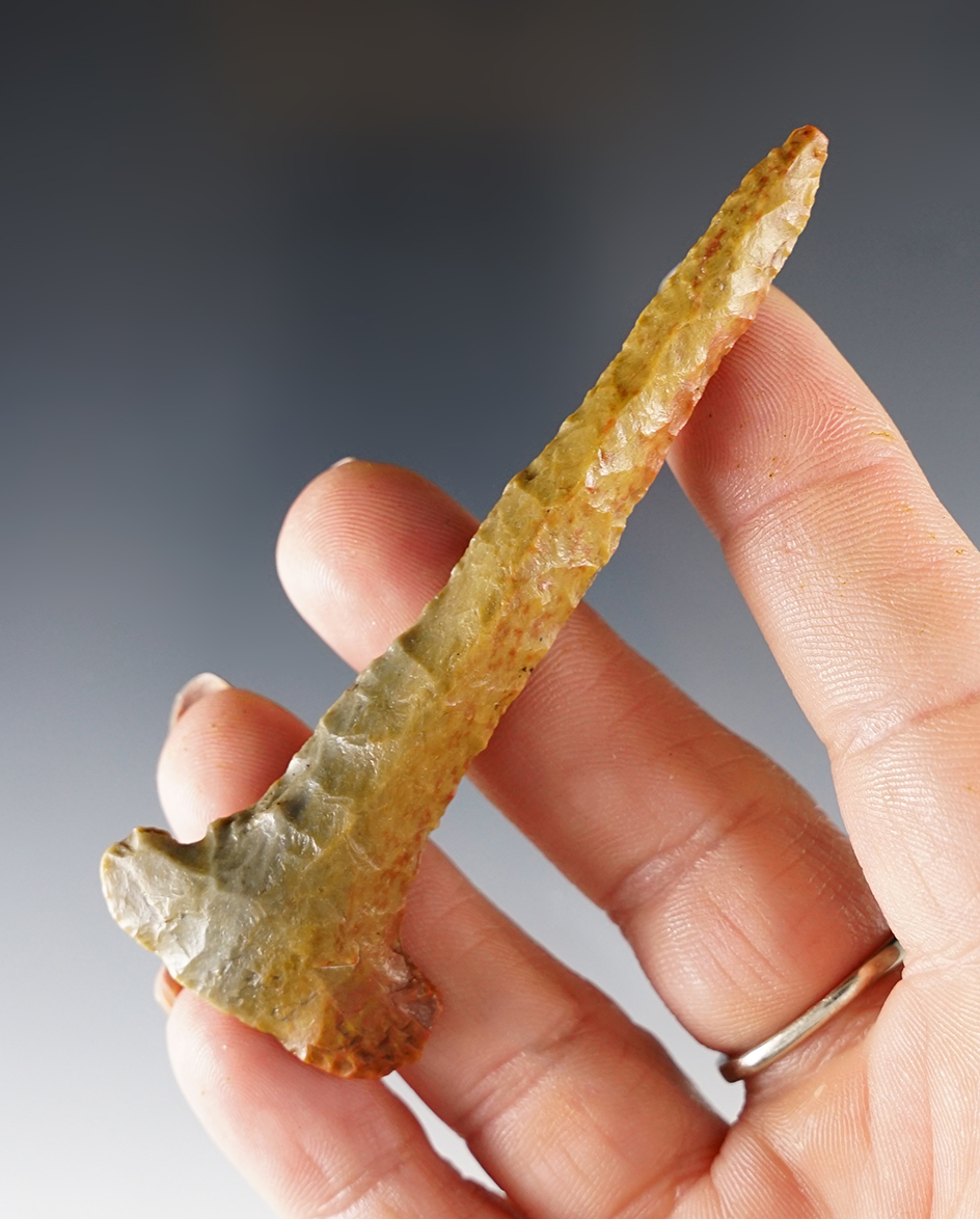 Main artifact image