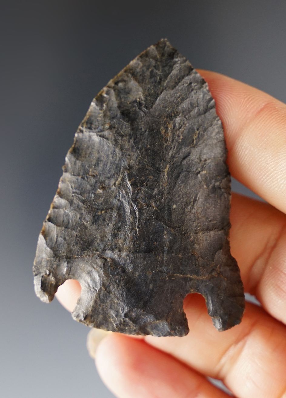 2 1/4" Base Notch found in Frazeysburg, Muskingum Co., Ohio. Ex. Jon Dickinson collection.