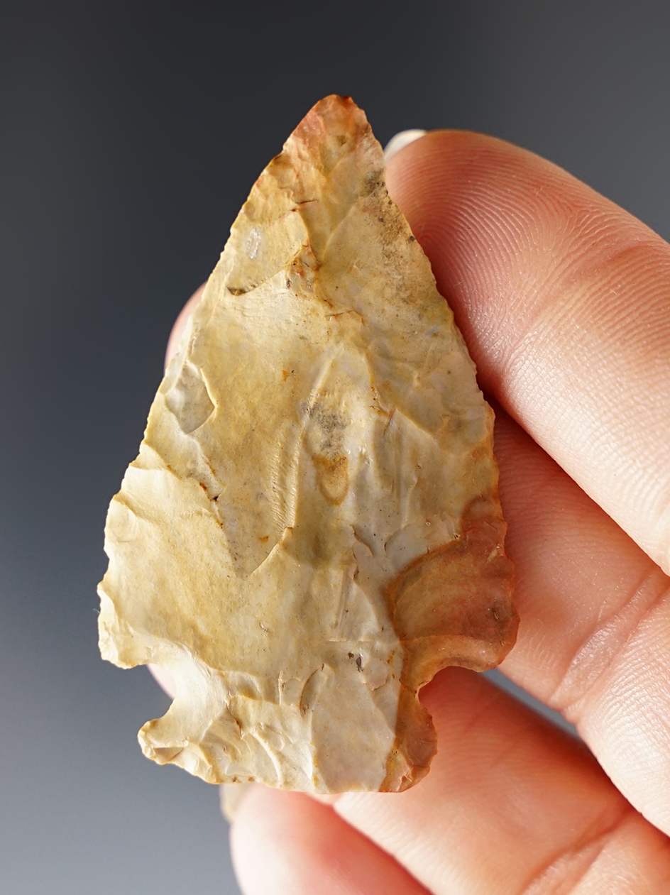 2" Pentagonal found in Stark Co., Ohio. Made from colorful Plum Run Flint. Ex. Jon Dickinson.