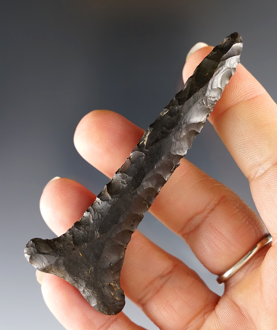 Main artifact image