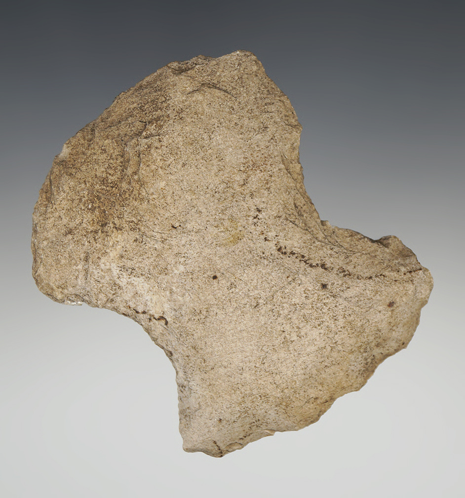 Main artifact image
