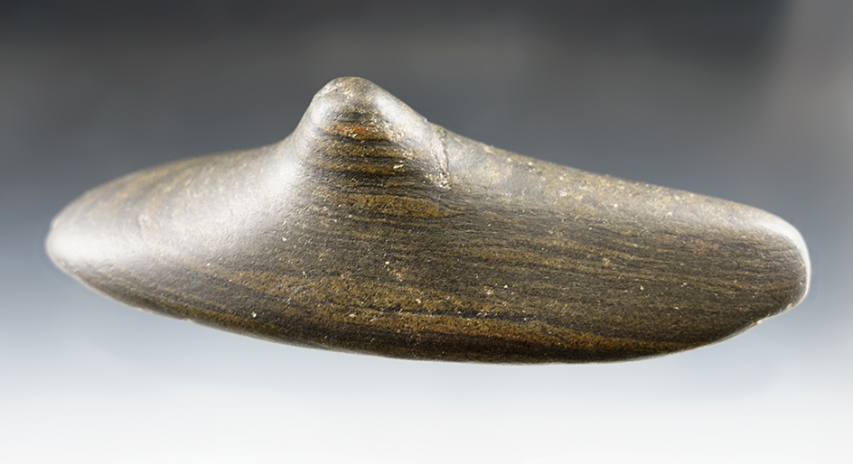 4 1/2" Banded Slate Spineback Gorget - Allen Co., Ohio. Spotted but never drilled. Dickinson COA.
