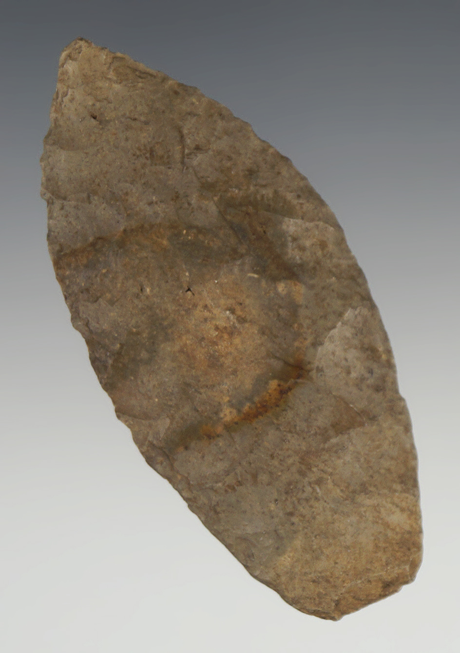 Main artifact image
