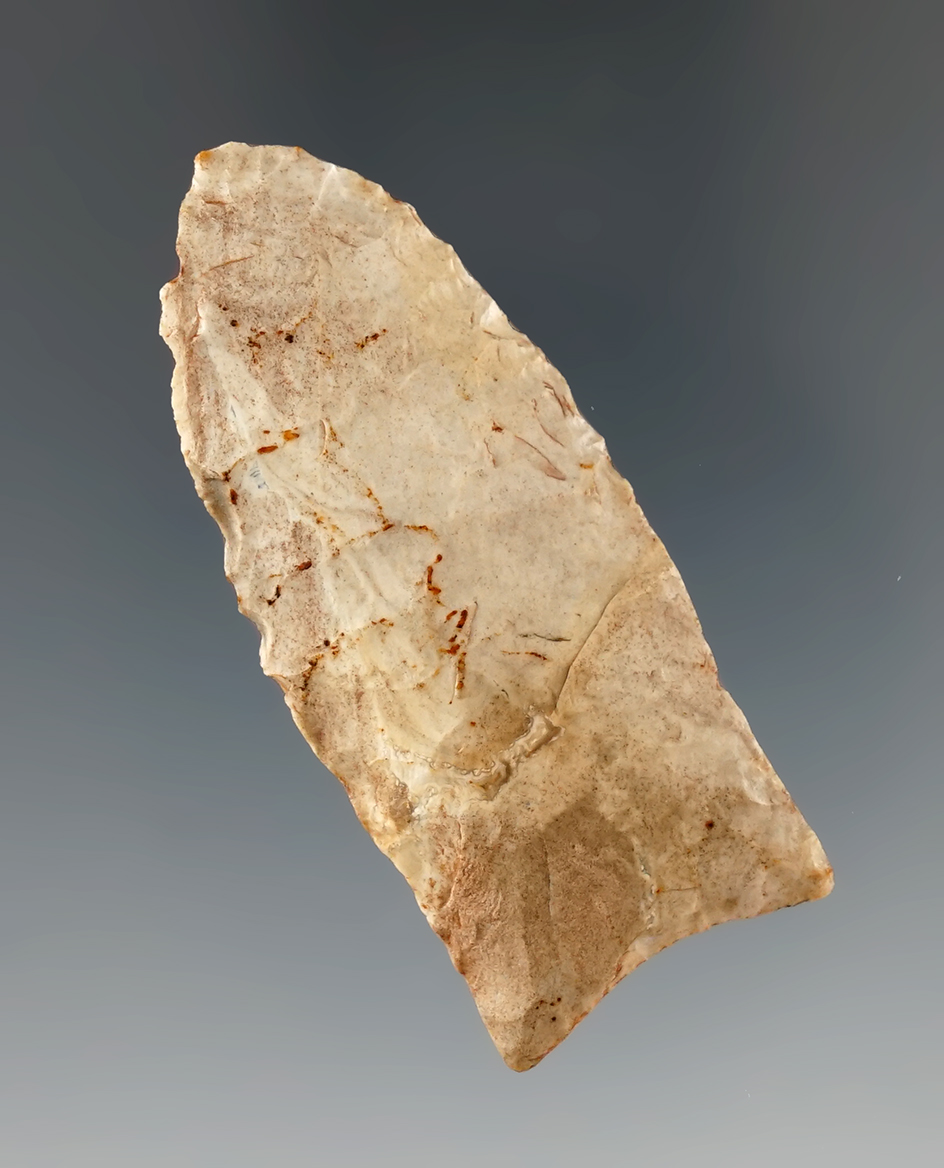 Main artifact image