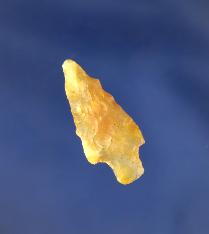 Main artifact image