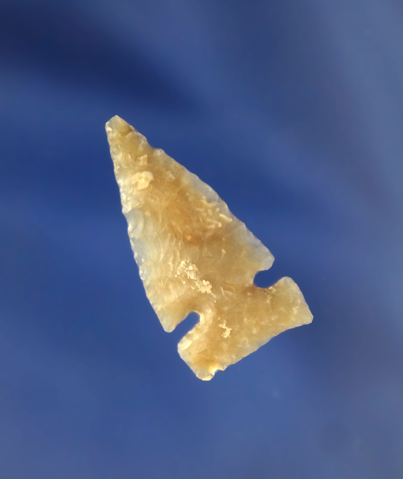 Main artifact image