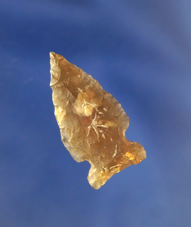 Main artifact image