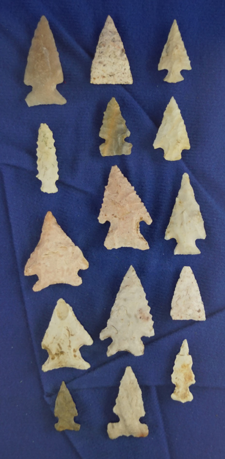 Set of 15 assorted bird points found in Illinois. Comes with a Maury Meadows COA