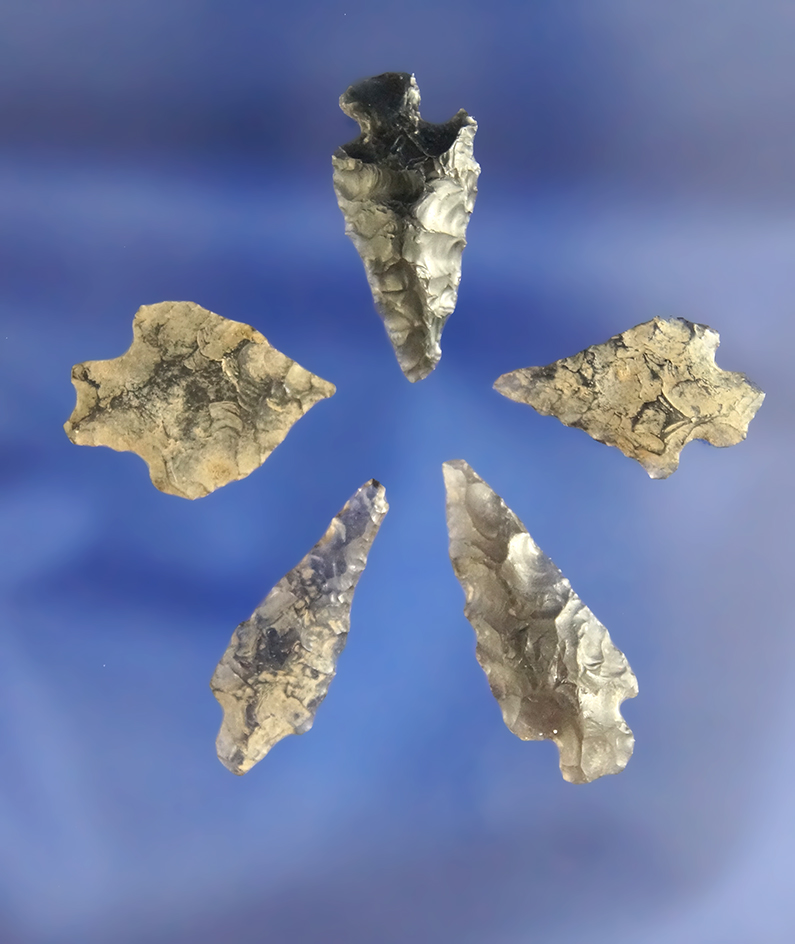 Main artifact image