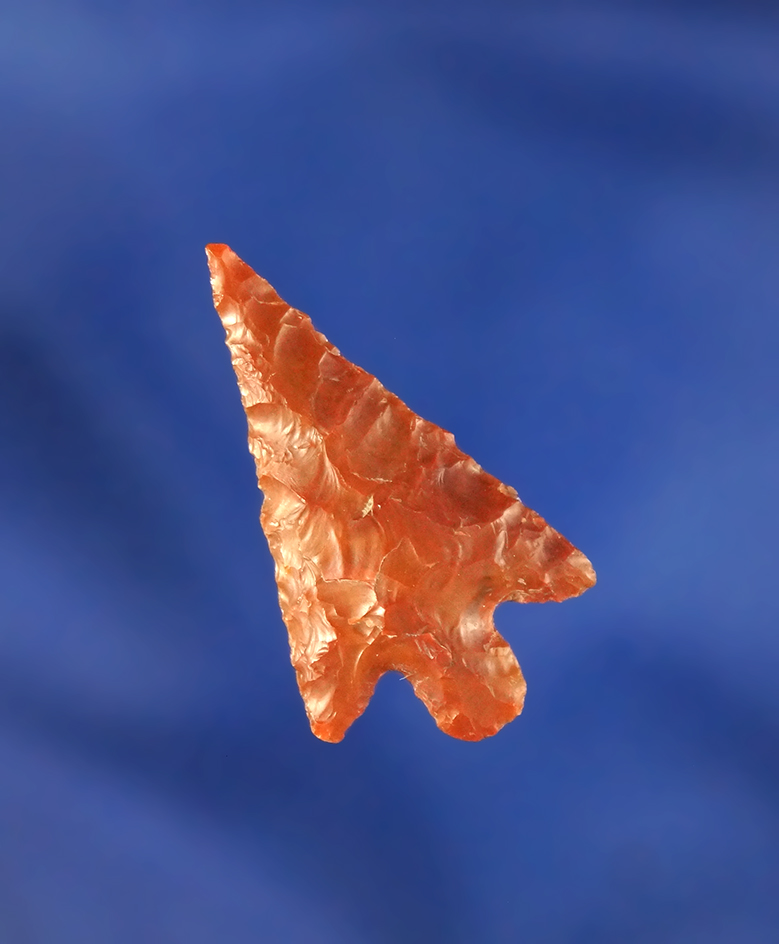 Excellent flaking style and material on this 1 1/16" Wallula found near the Columbia River.