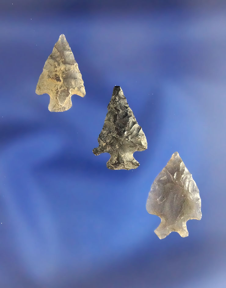 Main artifact image