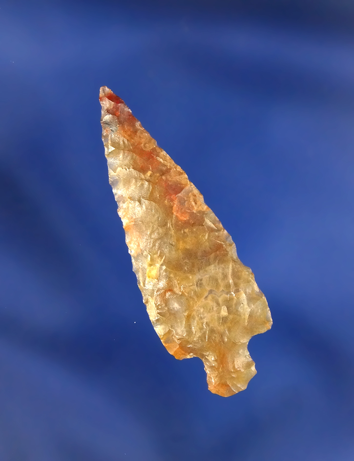 Main artifact image