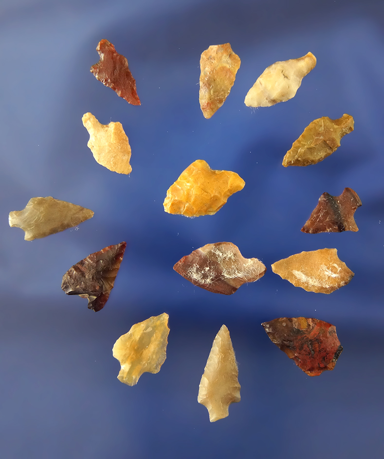 nice assortment of small points, largest is 11/16" found on the Oregon side of the Columbia River