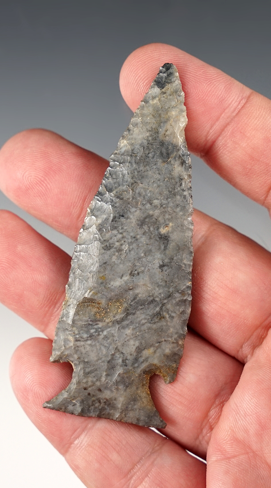 Thin and finely made 3 1/8" Intrusive Mound found by John Durig in Coshocton Co., Ohio.