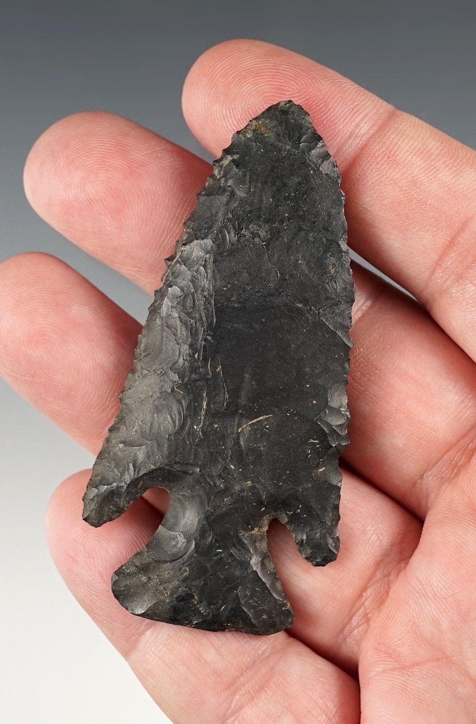 Well made 2 7/8" Thebes point found in Tuscarawas Co., Ohio.
