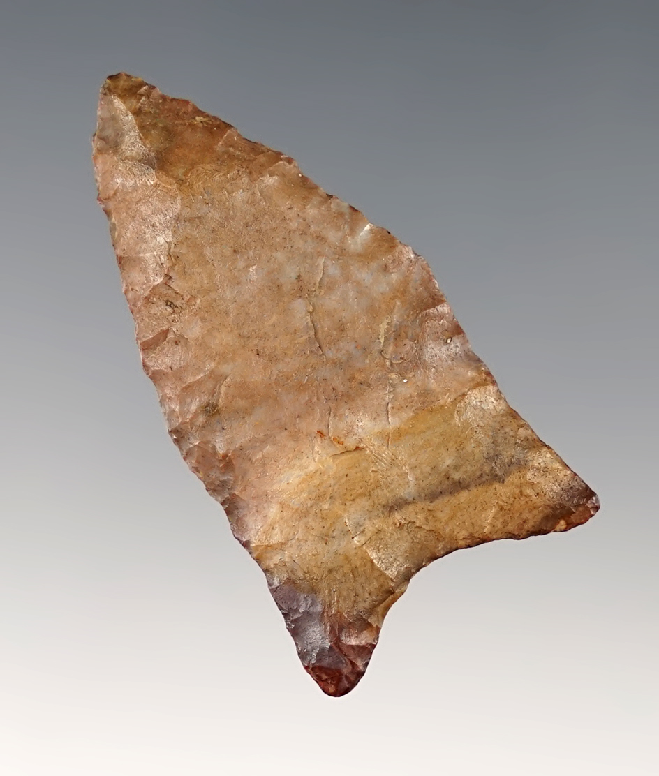 1 7/8" Paleo Quad found in Fairfield Co., Ohio. Ex. Beer, Barry Goodwin. Comes with a Dickey COA.