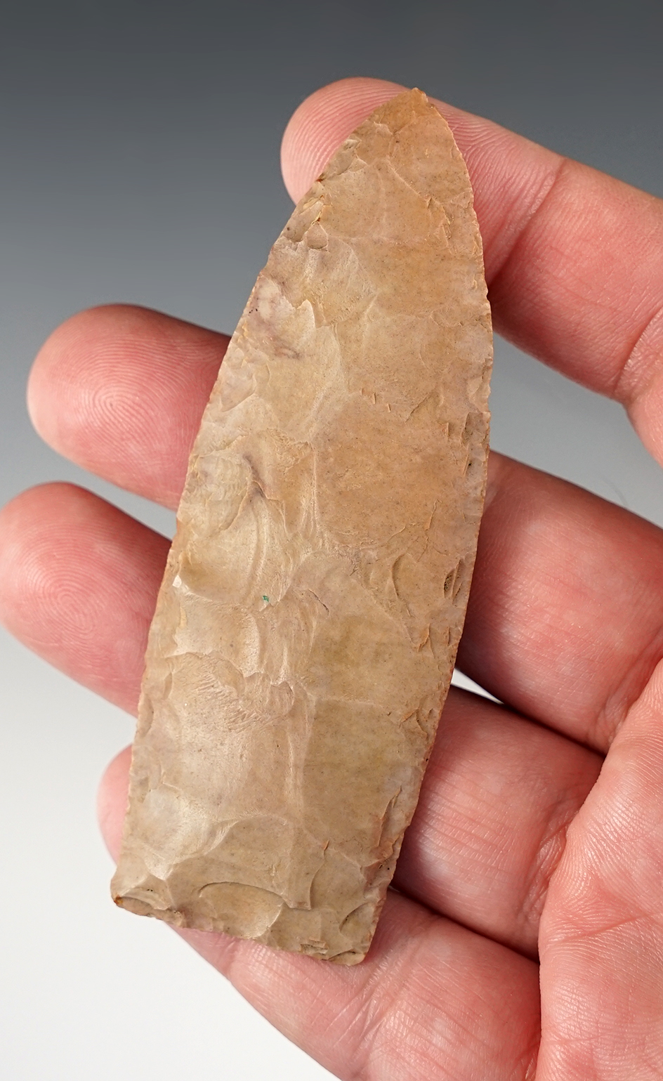 Main artifact image