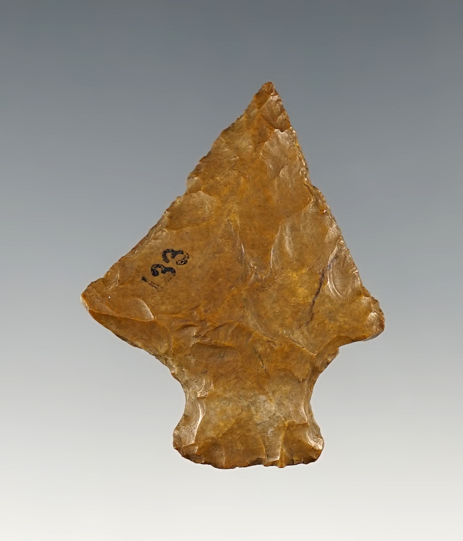 Main artifact image
