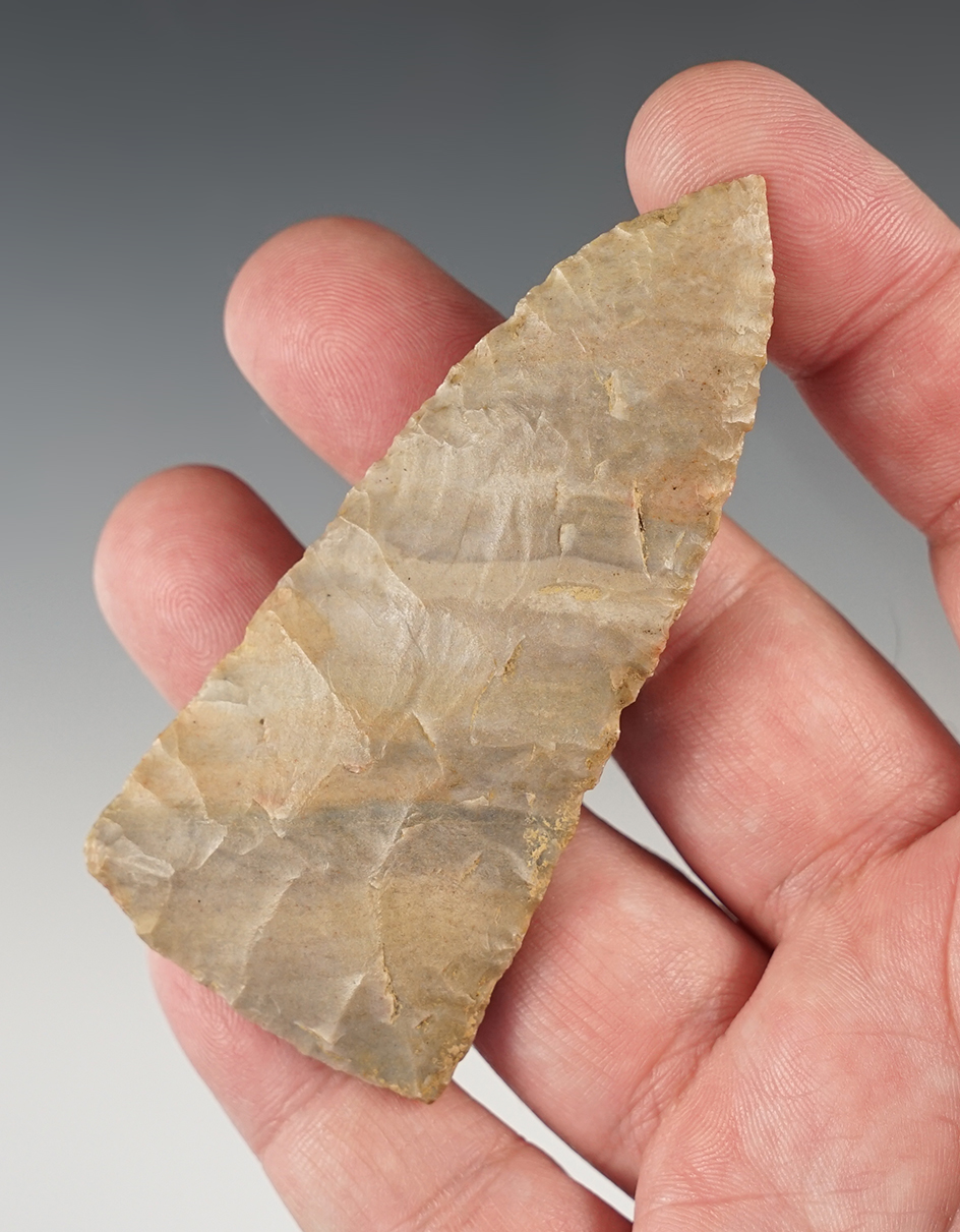 Main artifact image