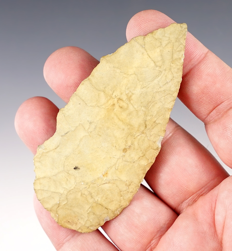 Main artifact image