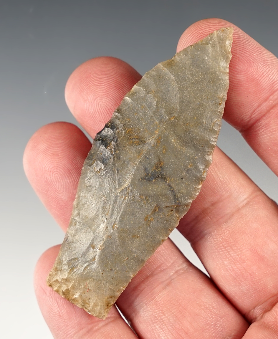 Main artifact image