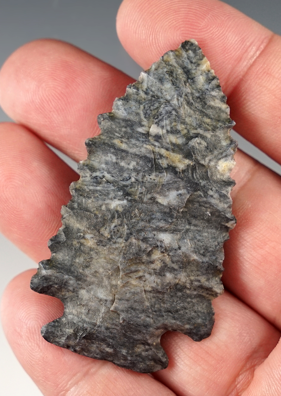 Finely flaked 2 7/16" Coshocton Flint Pine Tree found in Wayne Co., Ohio. 