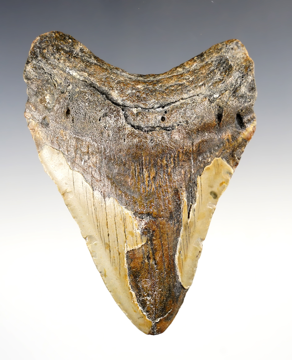 Main artifact image