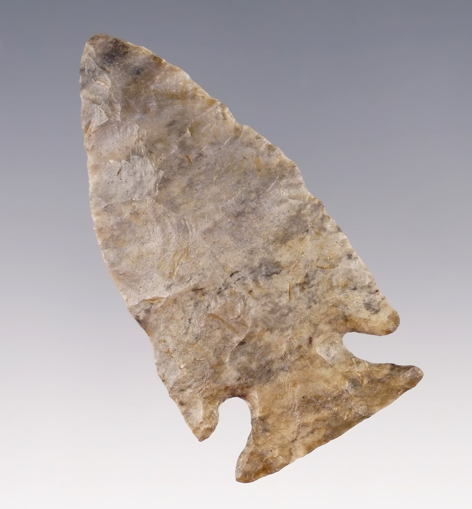 2 1/8" Intrusive Mound made from mottled Coshocton Flint. Found in Newark, Ohio.