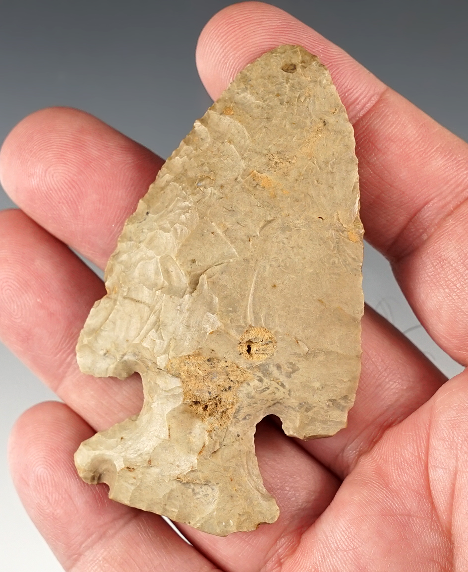 Classic 2 15/16" Ohio Thebes that is well patinated. Ex. Fahrni, Rowlands collections.