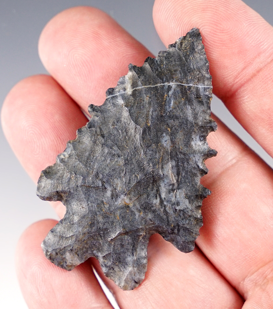 2 1/4" Archaic Bifurcate with extremely deep serrations. Found in Coshocton Co., Ohio.