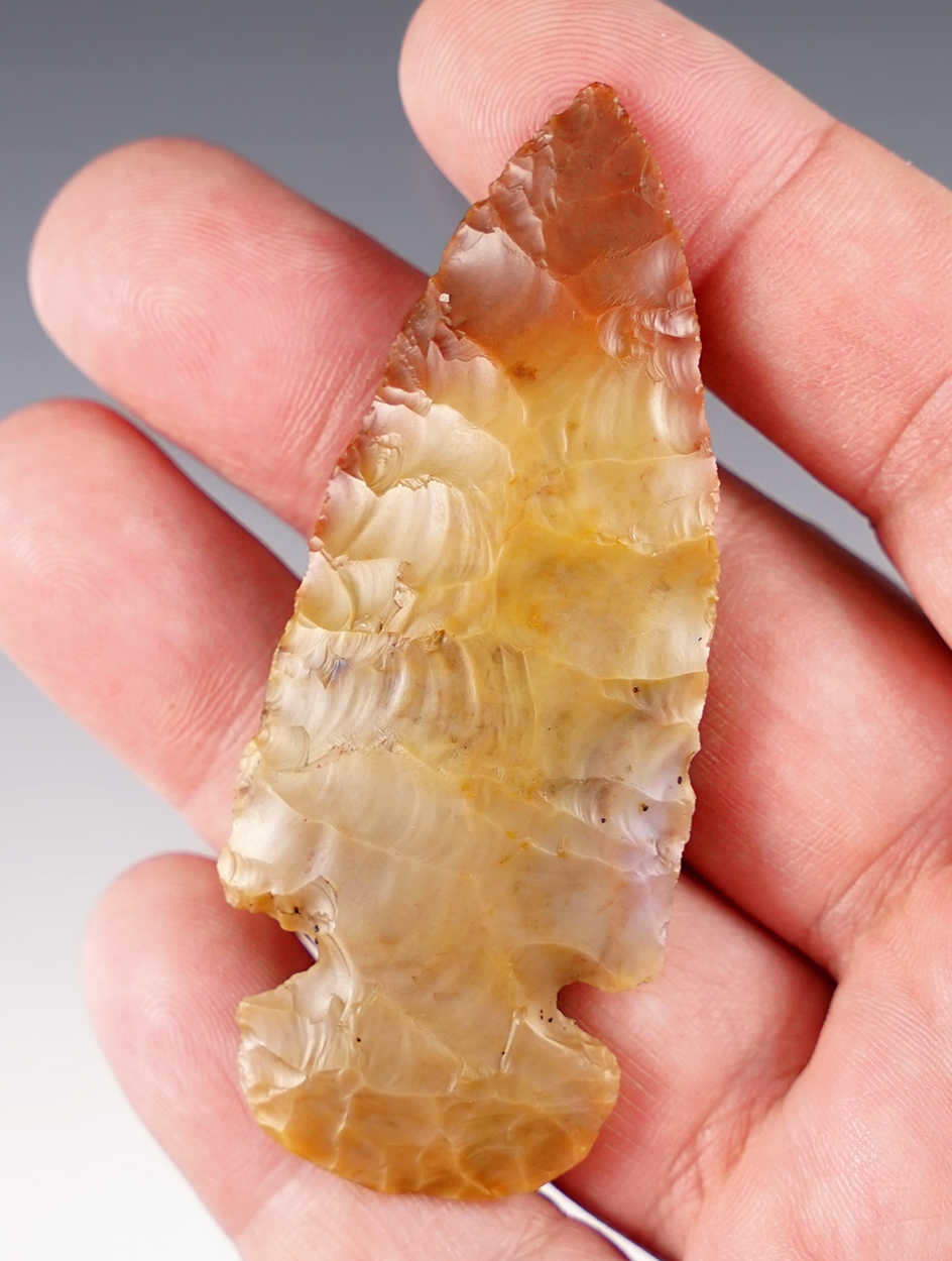 Sale Highlight! 2 7/8" Archaic Ohio Dovetail made from highly colorful Flint Ridge Flint. 