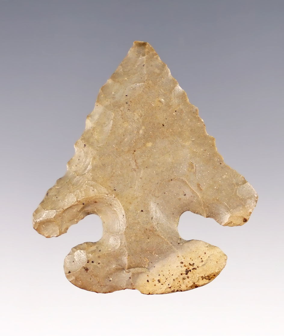 1 11/16" x 1 1/2" Archaic Bevel with nice barbs. Made from Delaware Chert, Delaware Co., Ohio.