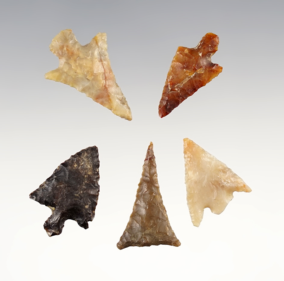Set of 5 nice West Coast points in good condition. The largest is 1 1/16".