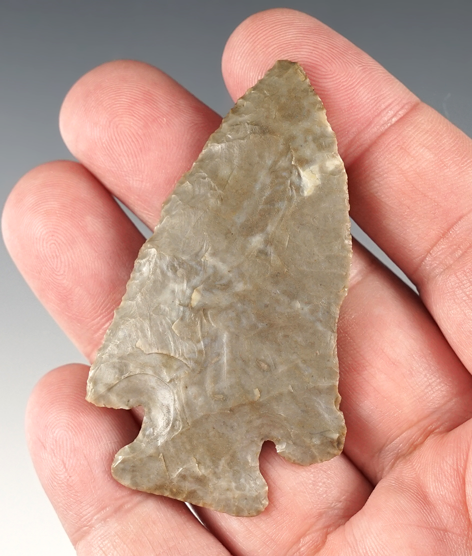 Thin and well flaked 2 9/16" Knobbed Hardin found in central Kentucky.