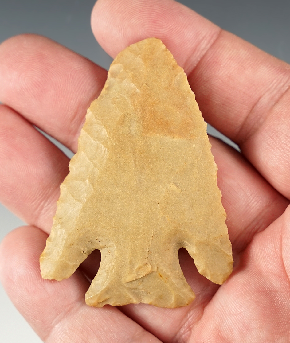 Nice 2 3/8" Deepnotch found in Madison Co., Ohio. Ex. Dr. Hughes.