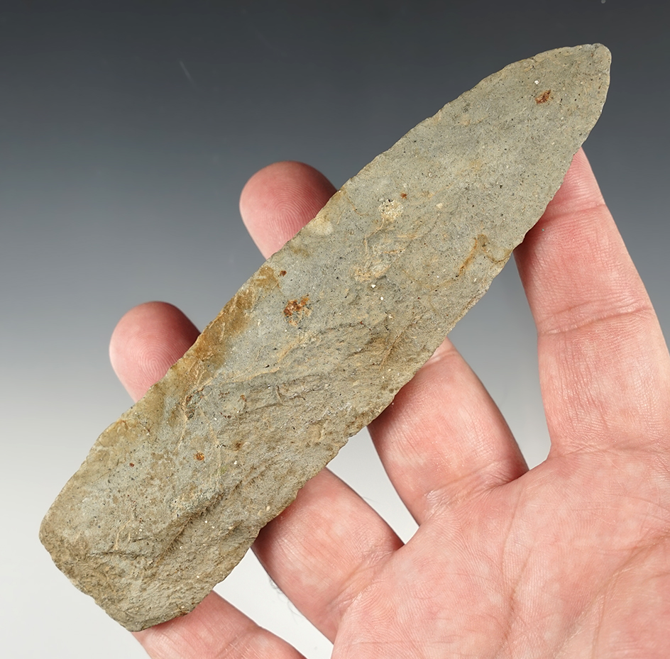 Main artifact image