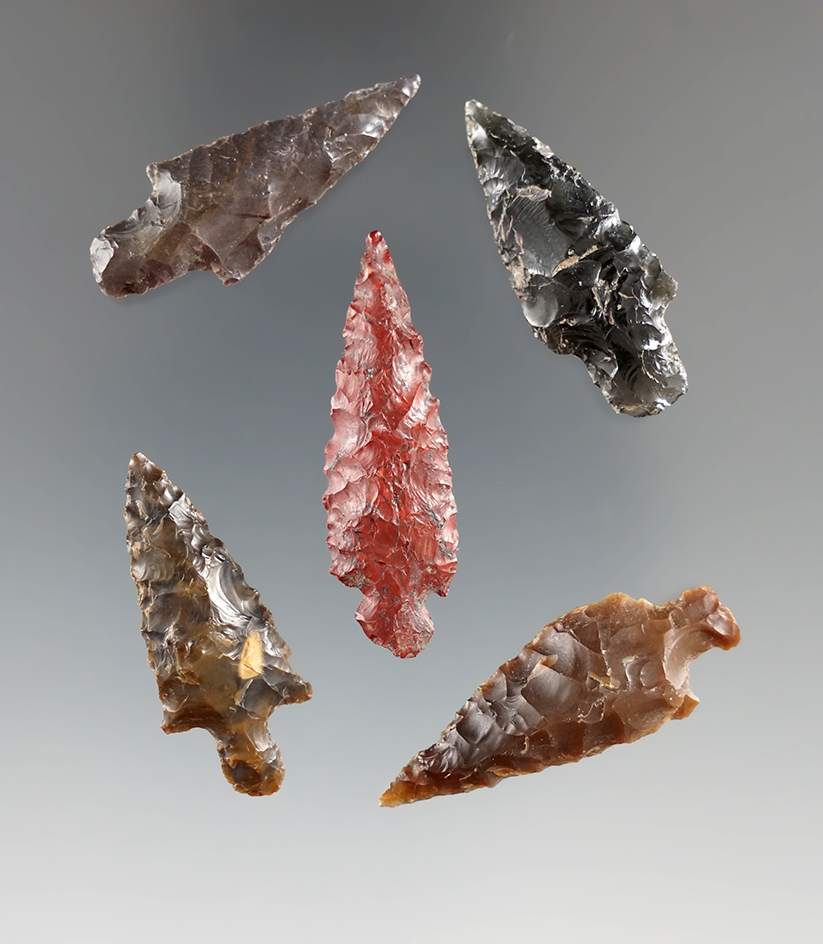 Set of five Columbia River arrowheads found in 1964 near the John Day River, largest is 1 1/2".