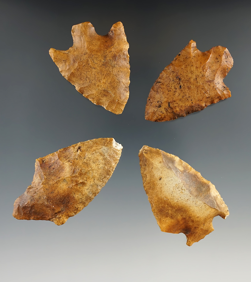 Set of four heavily patinated Florida points, largest is 2 1/2".