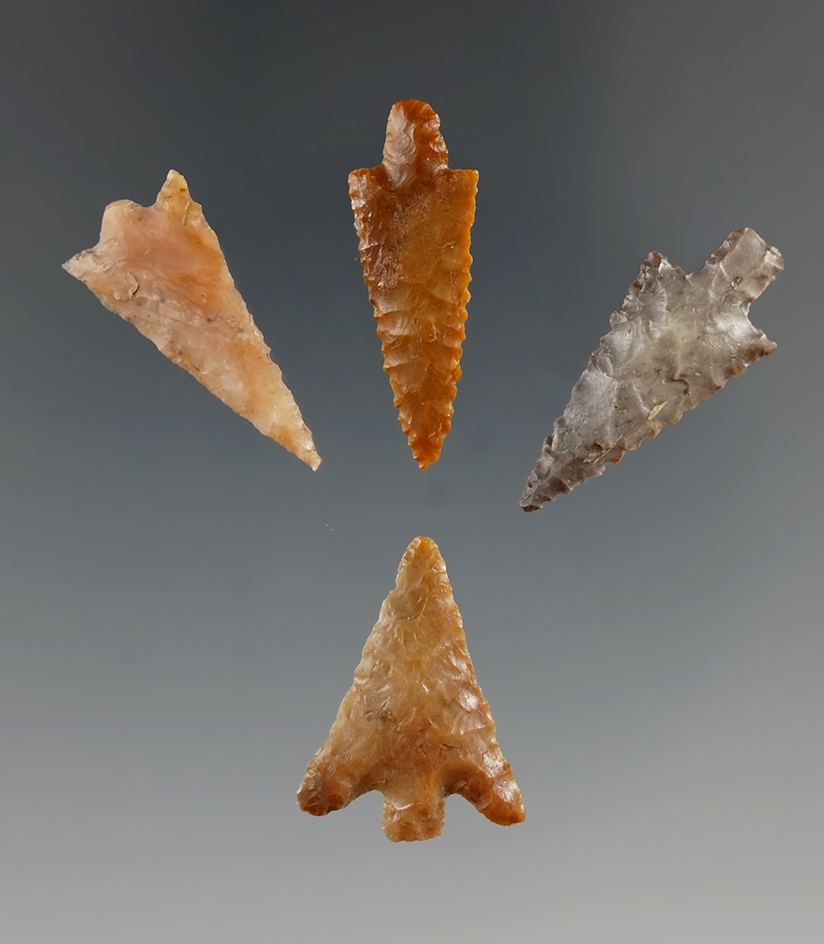 Set of four nice Columbia River Gem points, largest is 1".