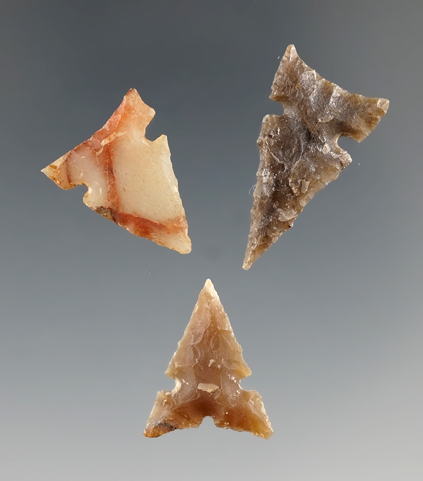Set of three well flaked Columbia River Sidenotch points, largest is 1".