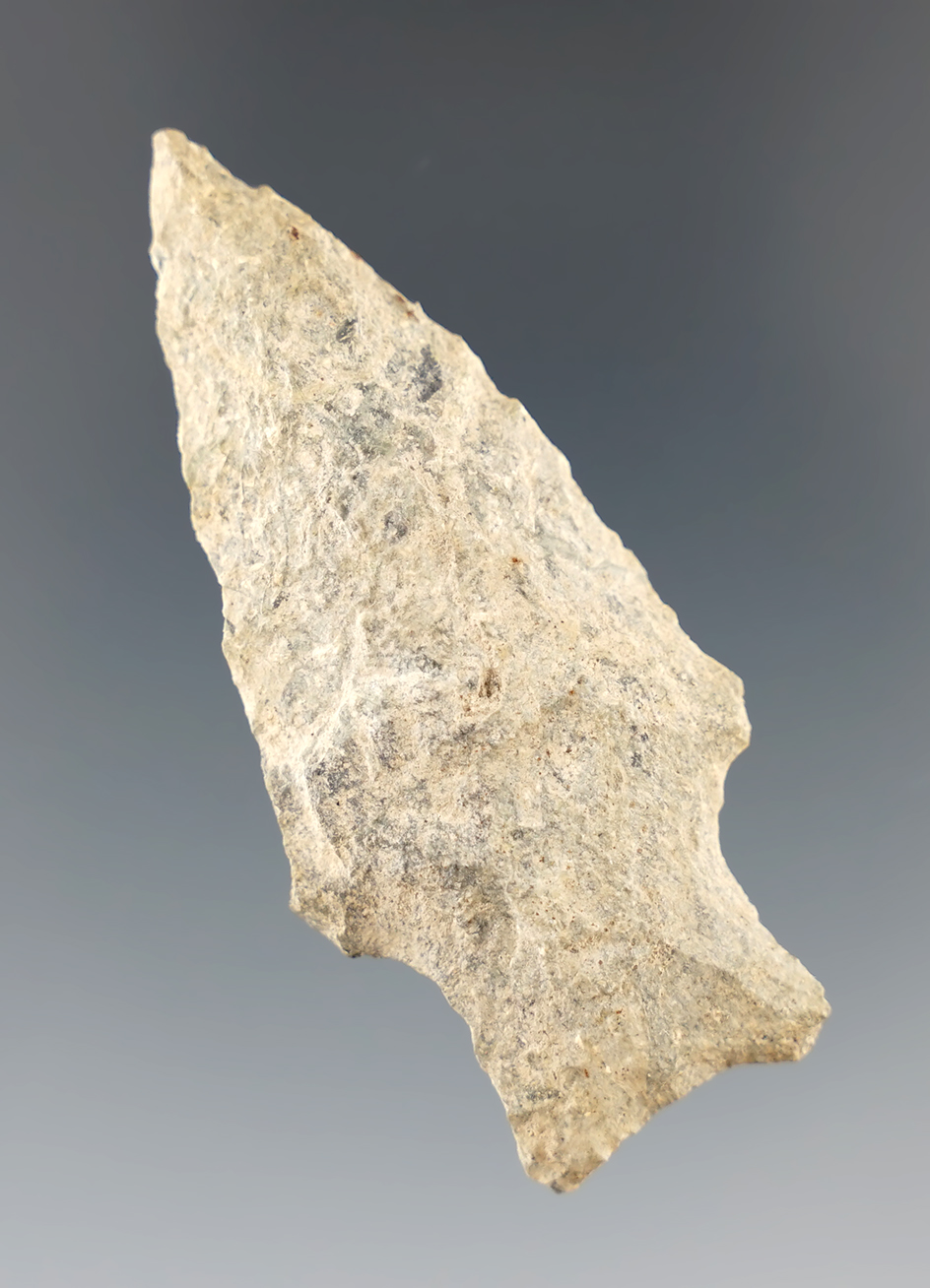 Main artifact image