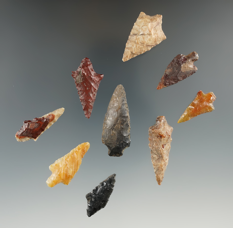 Set of nine Rabbit Island points found near the Columbia River. Largest is 1 9/16". Ex. Charlie Mitc