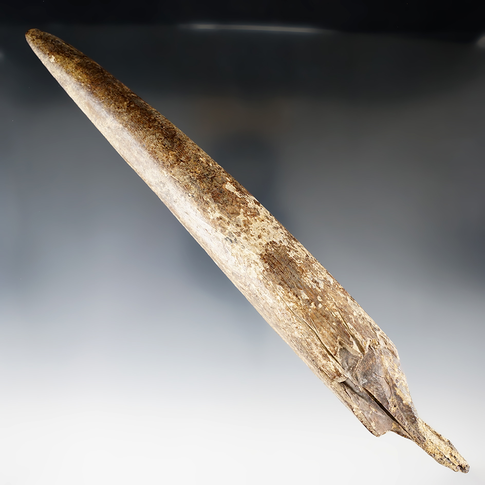 Main artifact image
