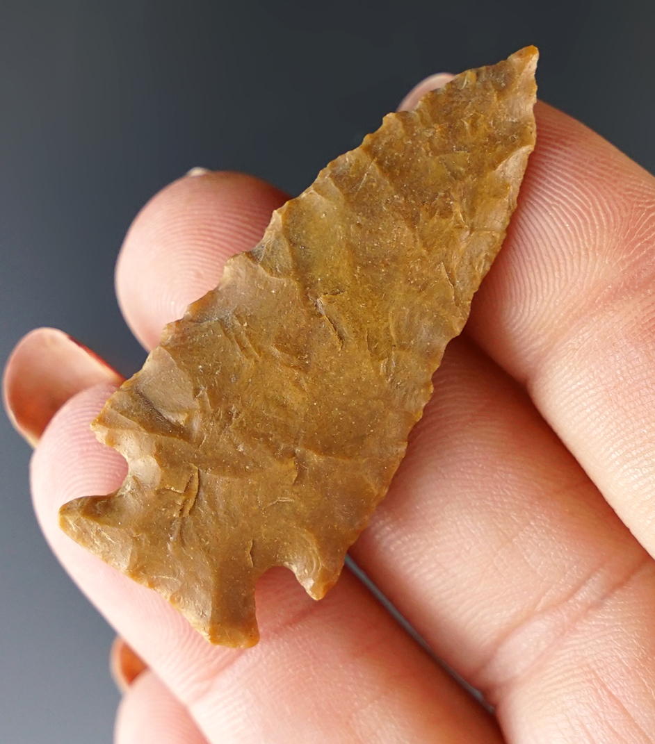 Main artifact image