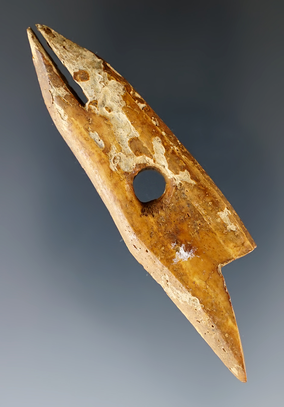 Main artifact image