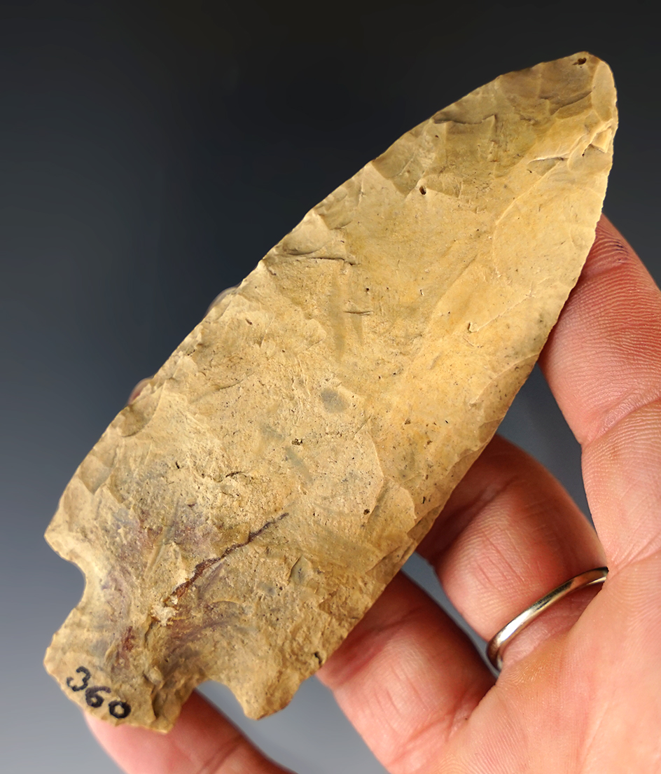 Main artifact image