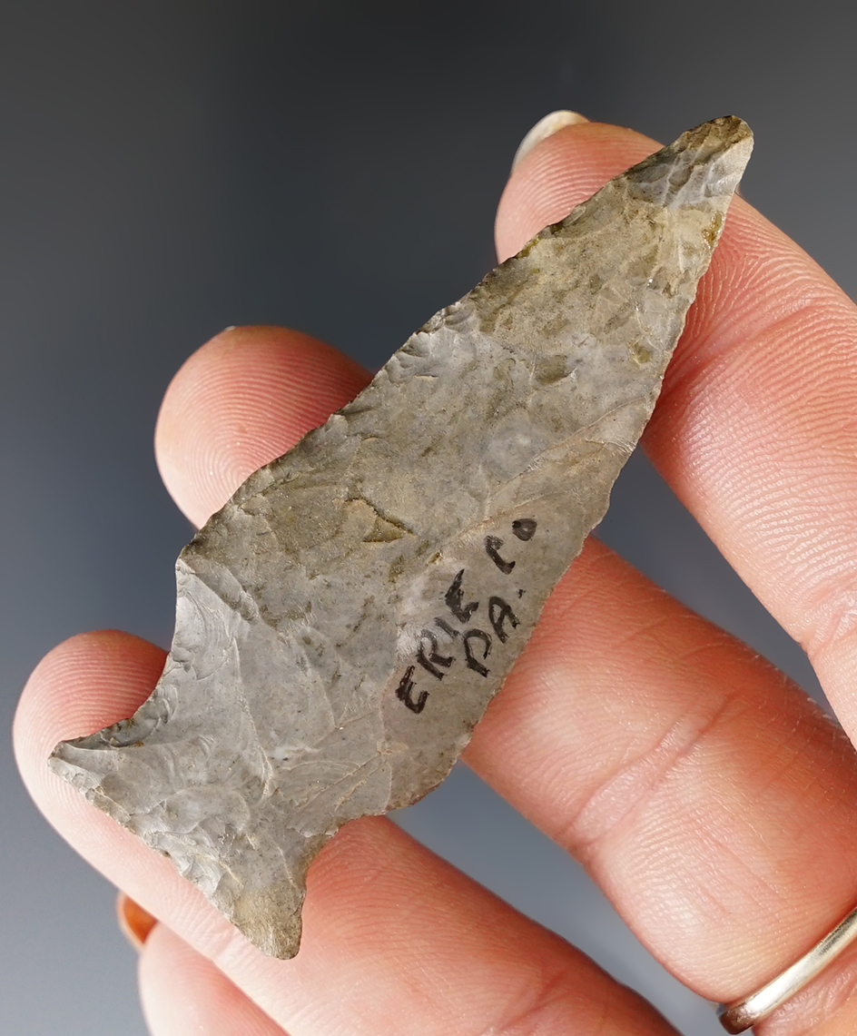 Main artifact image