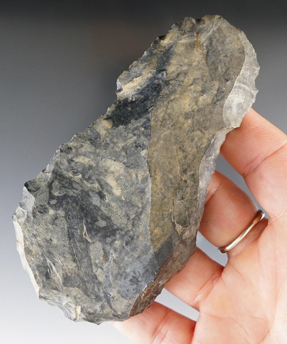 Main artifact image
