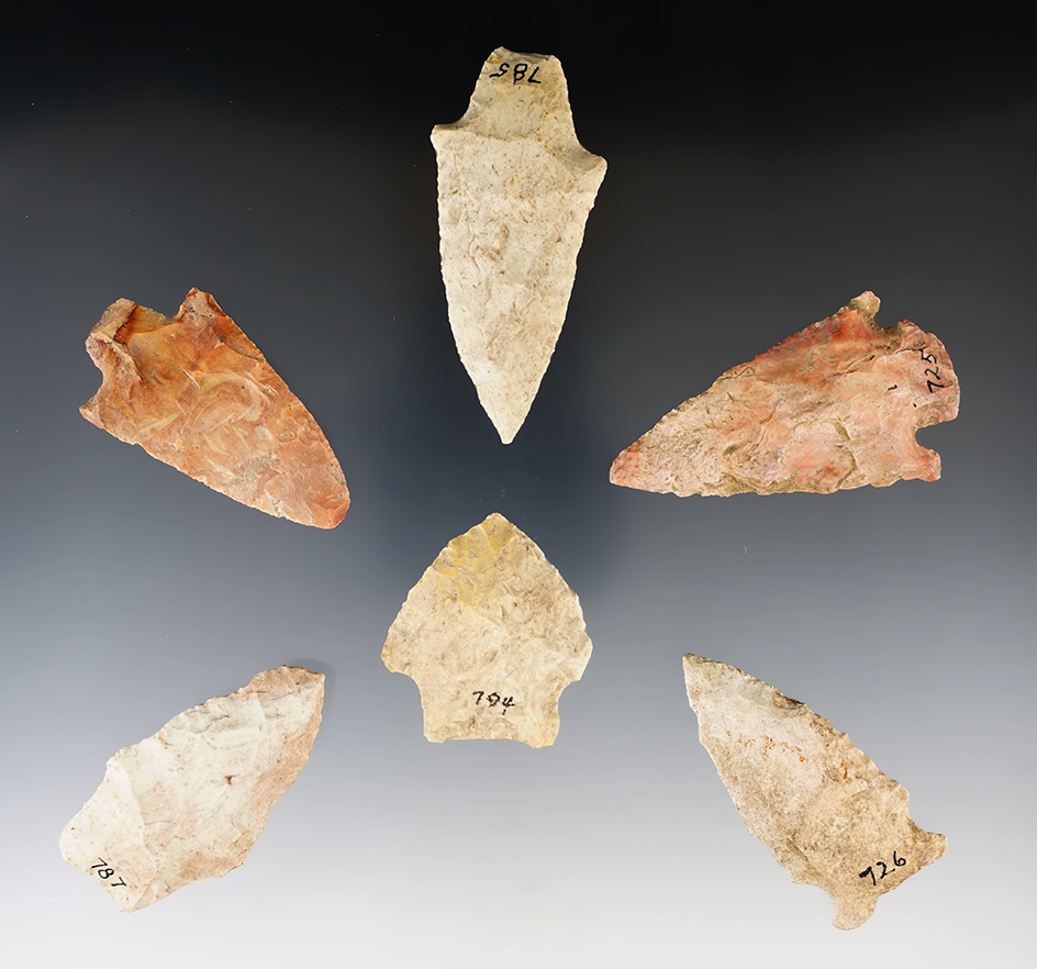 Main artifact image